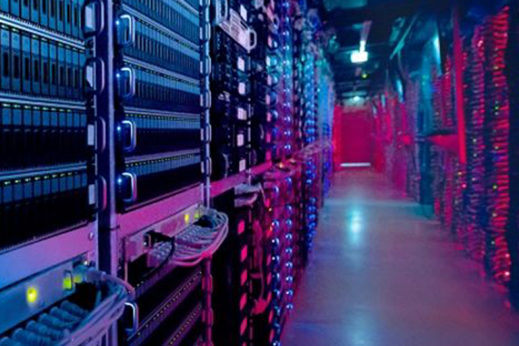 NEW NETWORK